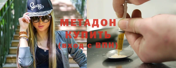 прущие грибы Волоколамск
