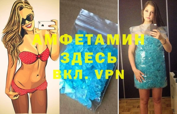 прущие грибы Волоколамск