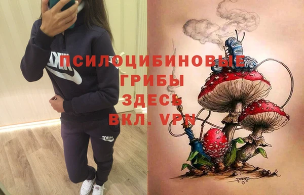 МДПВ Верея