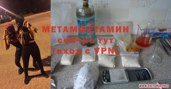 прущие грибы Волоколамск