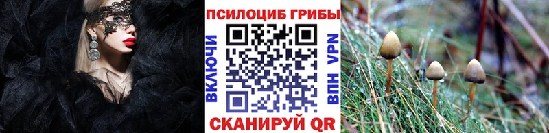 Галлюциногенные грибы Cubensis  Черноголовка 
